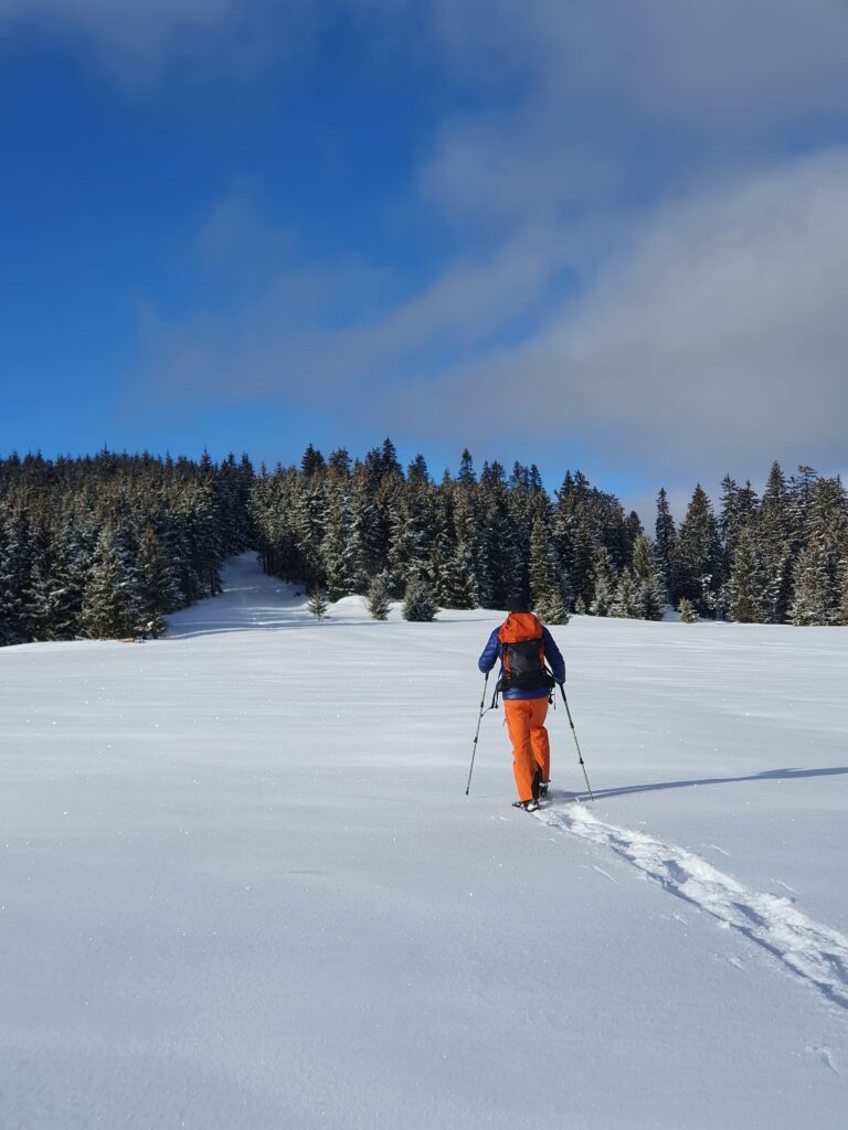 šetnja na krpljama