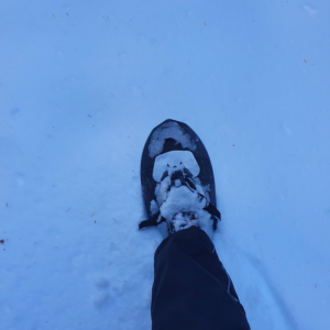 krpljama